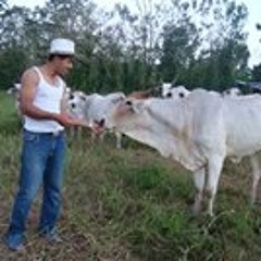 José Obando