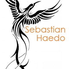 Sebastian-Haedo