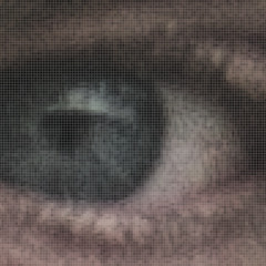 zurrealist
