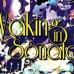 Waking In Sonata