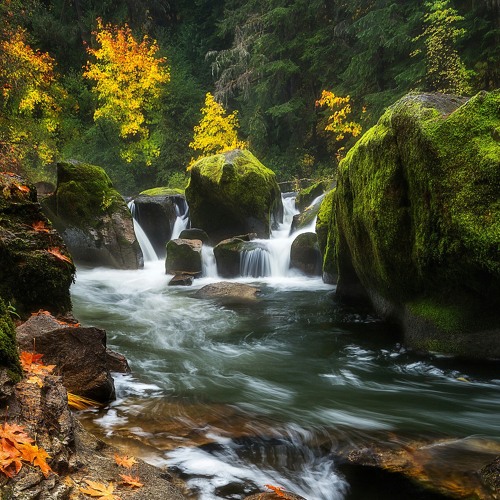 حداء حوراني بمناسبة التحرير