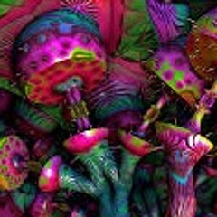 Angel Aguirre Bagres