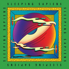 Sleeping Sapiens