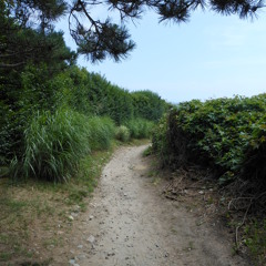 A Quiet Path