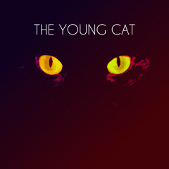 youngcat