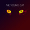 youngcat