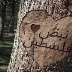 N.k  نبض فلسطين