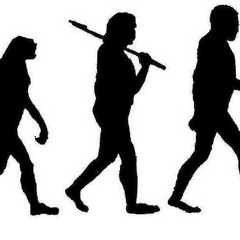 Human Evolution Project