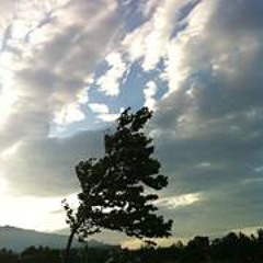 Sanchez Hangeol Choi