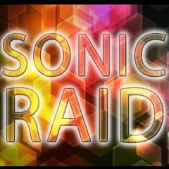 Sonic Raid