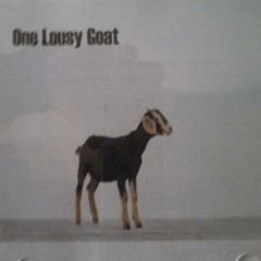 One Lousy Goat