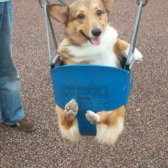 The Real Lebron James