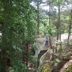 naturalisitcvibrations