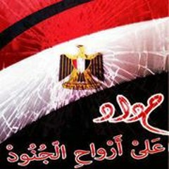 Waleed Mohamed Elsaied