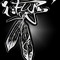 i-Fly