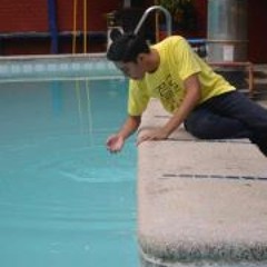 Hans Christian Aldea