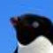 penguin machine