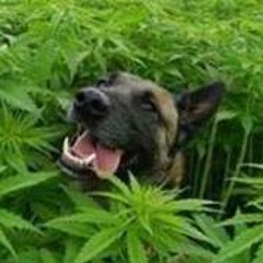 Ručník Vykroucený