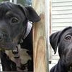 Michael Anderson 129