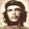 Joe Bahout
