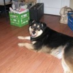 David-Kandace Richardson