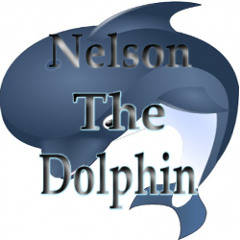 Nelson The Dolphin