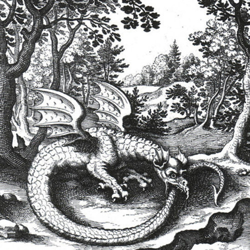 The Wantley Dragons’s avatar
