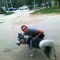 Dejan Stevic