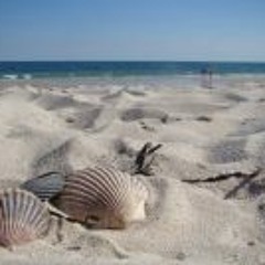 Peggy Harkin Reinwald