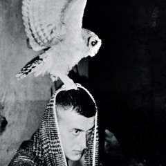 Aristidegagliardi