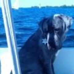 Winnie de Groof-branse