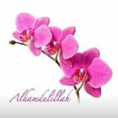 Haleemah UmmFreckles