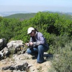 Kineret Ozer Mashaal