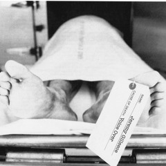 Jeremy Gilleece Voiceover