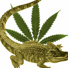 GatorR