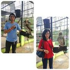 Dewa Made Paramartha