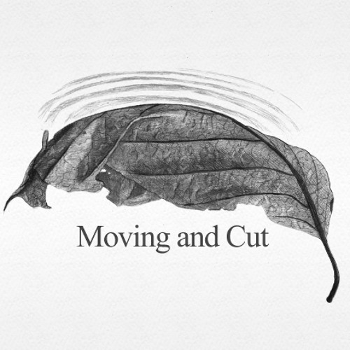 Moving and Cut’s avatar