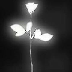 Izabela Ivković Radulović