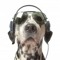 DJ MoonGoon