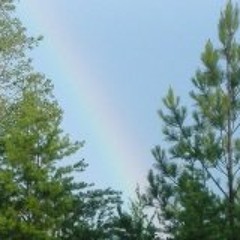 Handsome Jack & Company