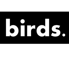 BirdsMusicOfficial