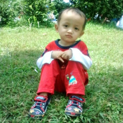 ihsan fathi