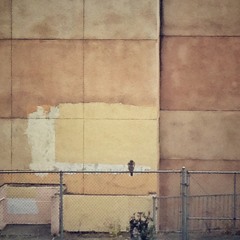 Daniel Williams: Uploaded