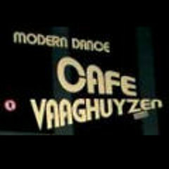 vaaghuyzen