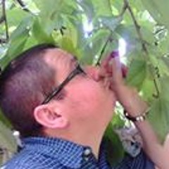 Bíró Újságíró Zsolt