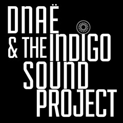The Indigo Sound Project
