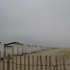 Allée des étoiles.