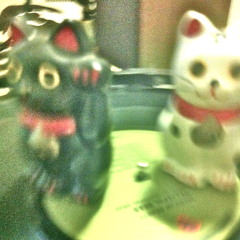 katCat