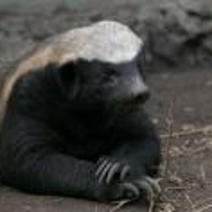 Hemp Badger