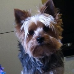 Jesus Martinez Jr. 1